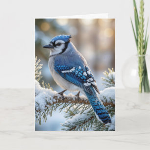 Christmas Blue Jay On a Snowy Pine  Card
