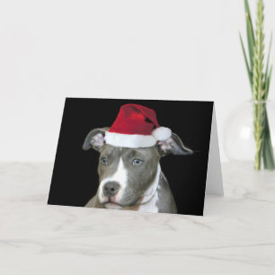 Christmas blue pitbull puppy greeting card