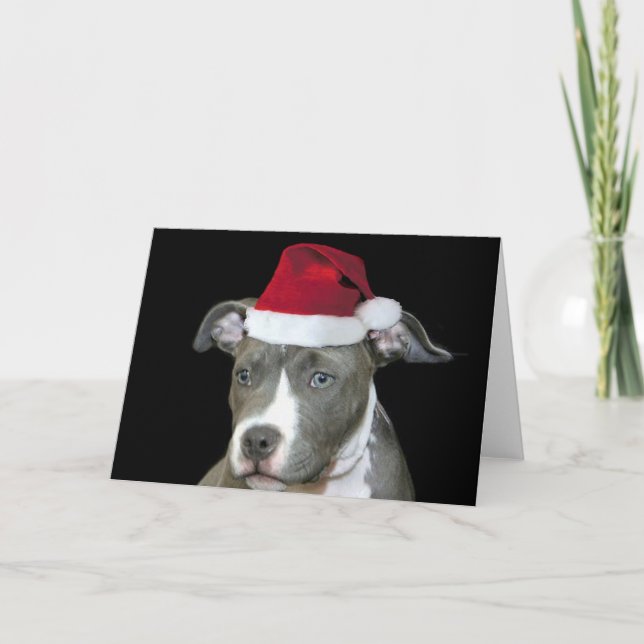 Christmas blue pitbull puppy greeting card (Front)