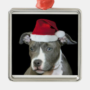 Christmas blue pitbull puppy metal tree decoration