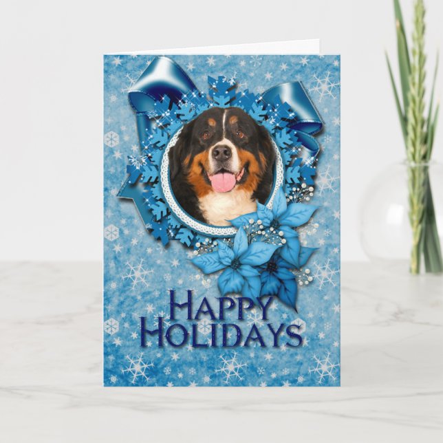 Christmas - Blue Snowflakes - Bernese Mountain Dog Holiday Card (Front)