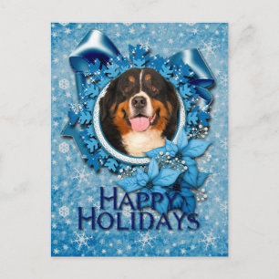 Christmas - Blue Snowflakes - Bernese Mountain Dog Holiday Postcard