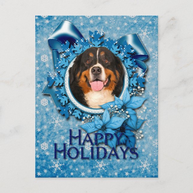 Christmas - Blue Snowflakes - Bernese Mountain Dog Holiday Postcard (Front)
