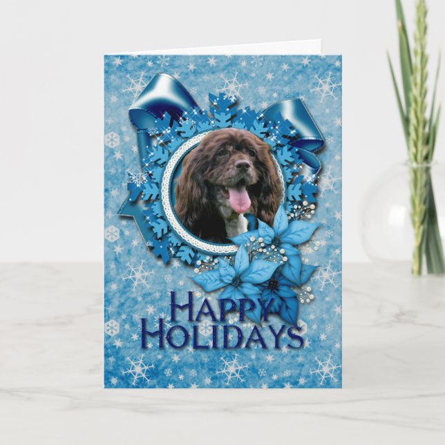 Christmas - Blue Snowflakes - Cocker Spaniel Holiday Card (Front)