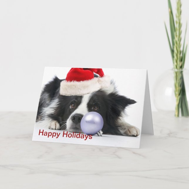 christmas border collie holiday card (Front)