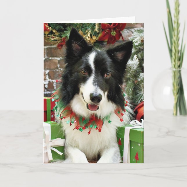 Christmas - Border Collie - Jessup Holiday Card (Front)