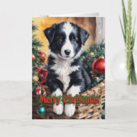 Christmas Border Collie puppy in a basket