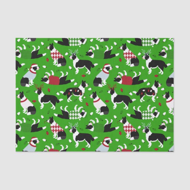 Christmas Border Collie Tissue Paper (Front)