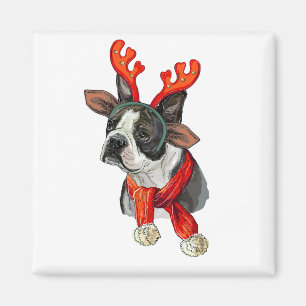 Christmas Boston terrier dog Magnet