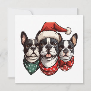 Christmas Boston Terrier Dogs Holiday Card