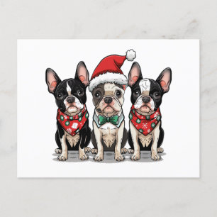Christmas Boston Terrier Dogs Holiday Postcard