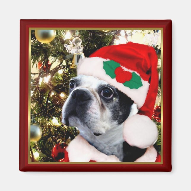 Christmas Boston terrier Magnet (Front)
