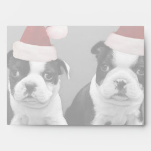 Christmas Boston Terrier puppies Envelopes