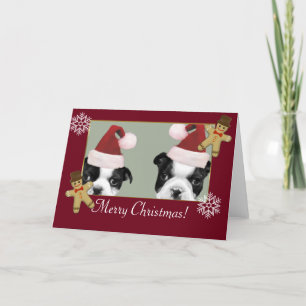 Christmas Boston Terriers Holiday Card