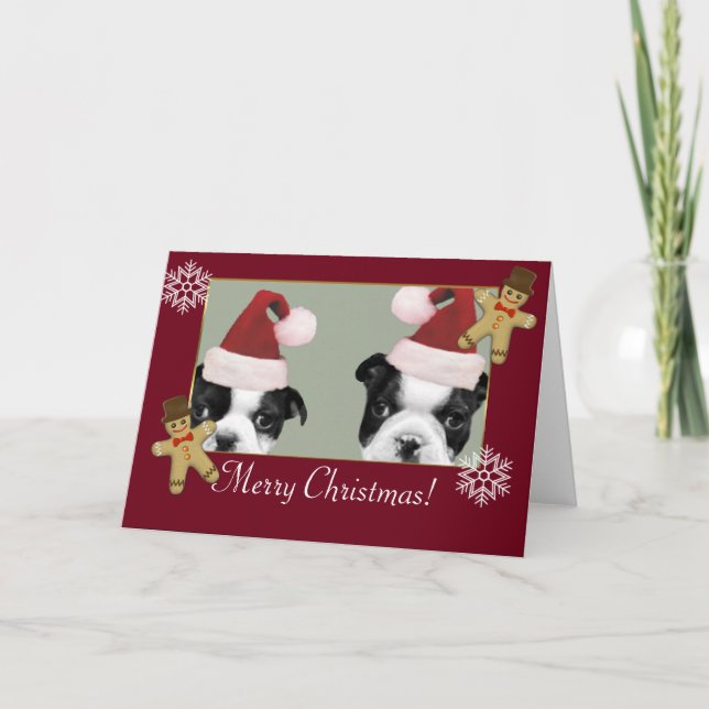 Christmas Boston Terriers Holiday Card (Front)