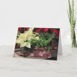 Christmas Box Holiday Card