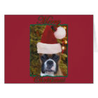 Christmas Boxer dog
