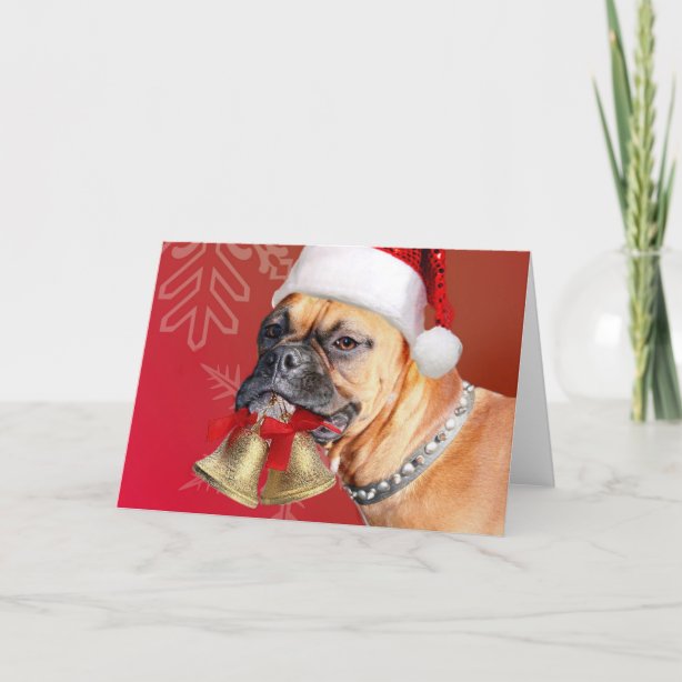 Boxer Dog Christmas Cards Zazzle UK