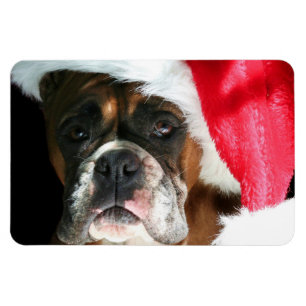 Christmas Boxer dog Magnet