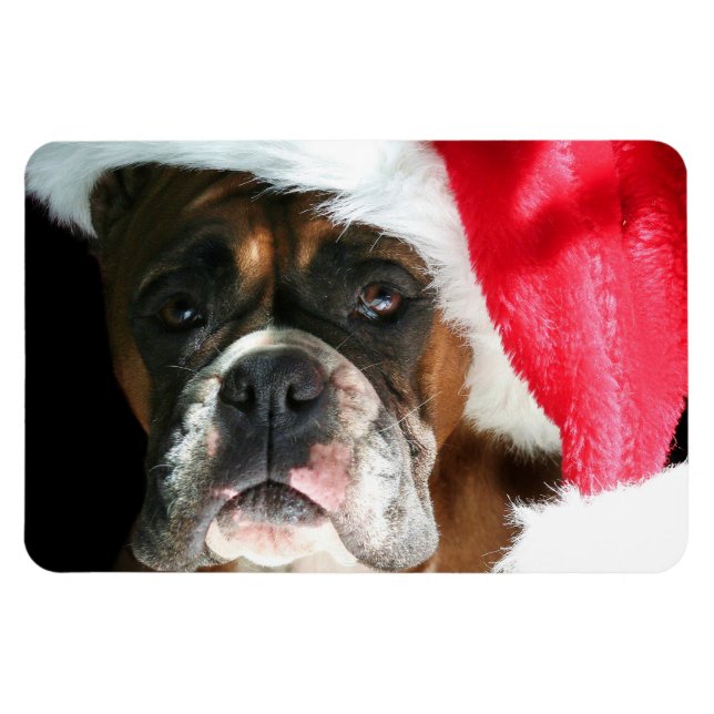 Christmas Boxer dog Magnet (Horizontal)