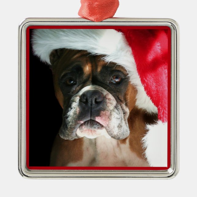 Christmas boxer dog ornament (Front)