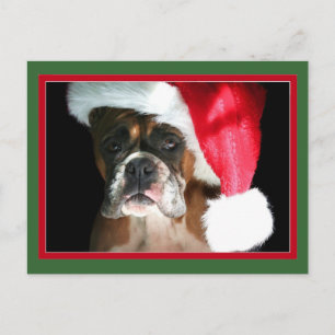 Christmas Boxer Dog postcard
