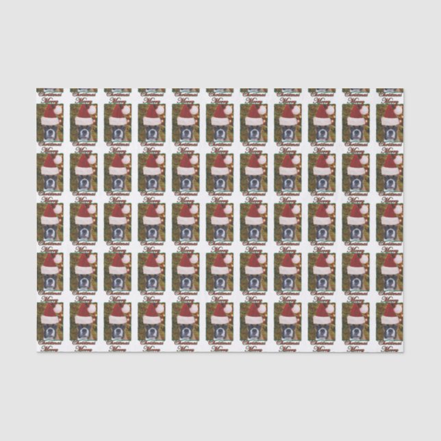 Christmas Boxer dog Tissue Paper (Front)