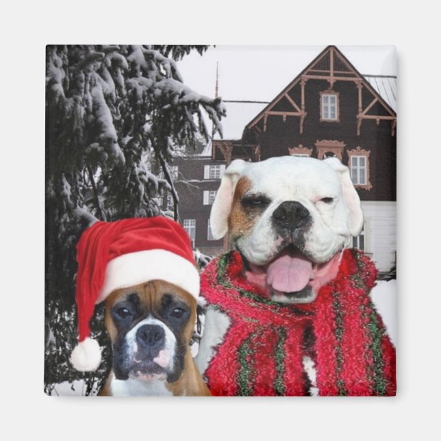 Christmas Boxer Dogs magnet (Front)