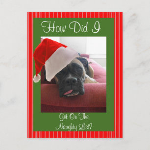 Christmas Boxer Holiday Postcard