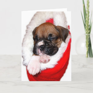 Christmas boxer puppy greeting card