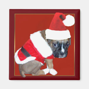 Christmas boxer puppy magnet