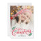 Christmas Branches Holiday Photo Card