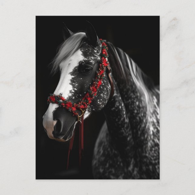 Christmas Bridle Horse Postcard (Front)