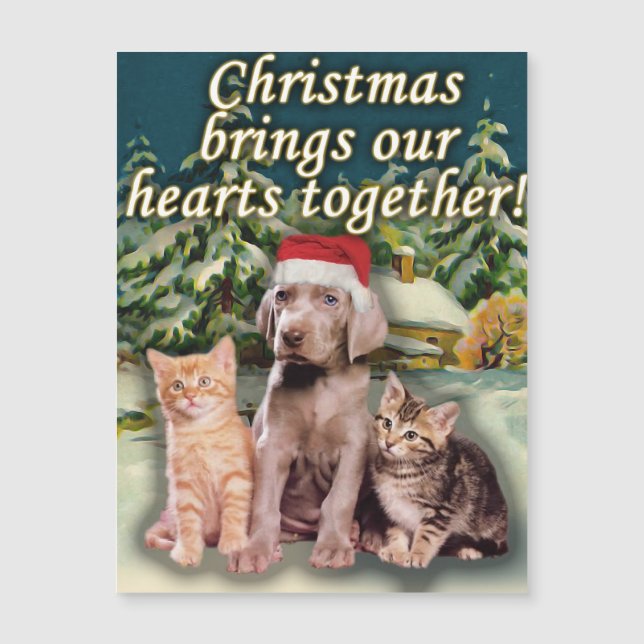 Christmas Brings Our Hearts Together Puppy Kitten (Front)