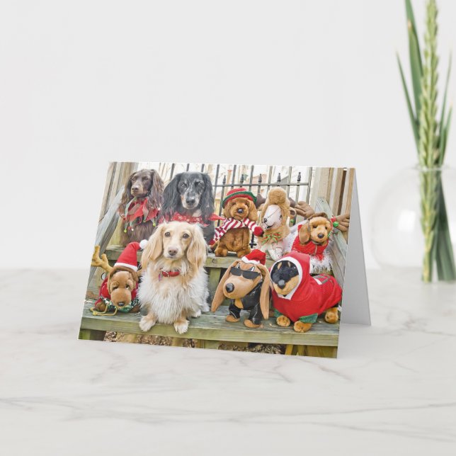 Christmas brings the whole family together holiday card (Front)