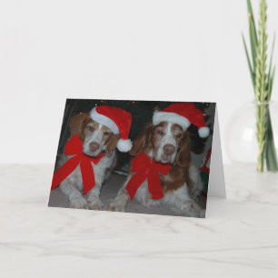 CHRISTMAS BRITTANYS HOLIDAY CARD