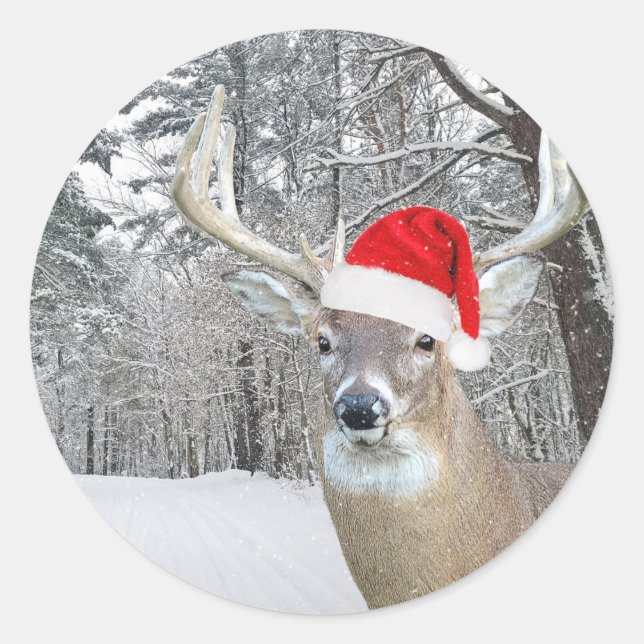 Christmas Buck In Snowflakes Classic Round Sticker (Front)