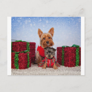 Christmas Buddies Holiday Postcard