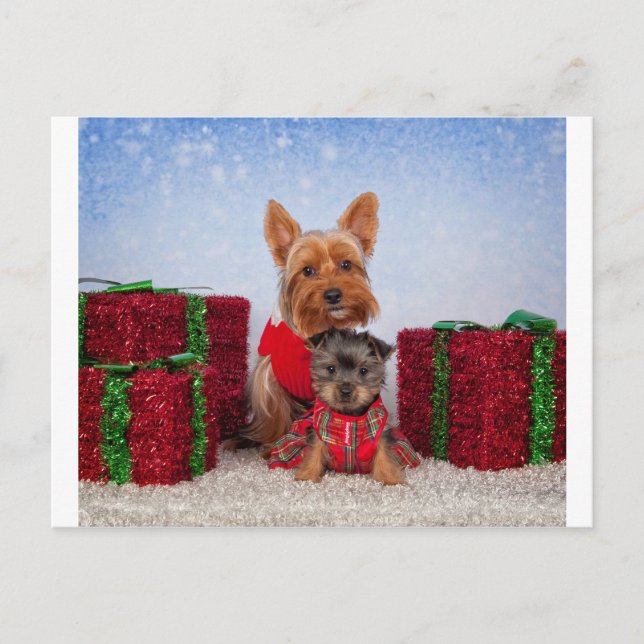Christmas Buddies Holiday Postcard (Front)