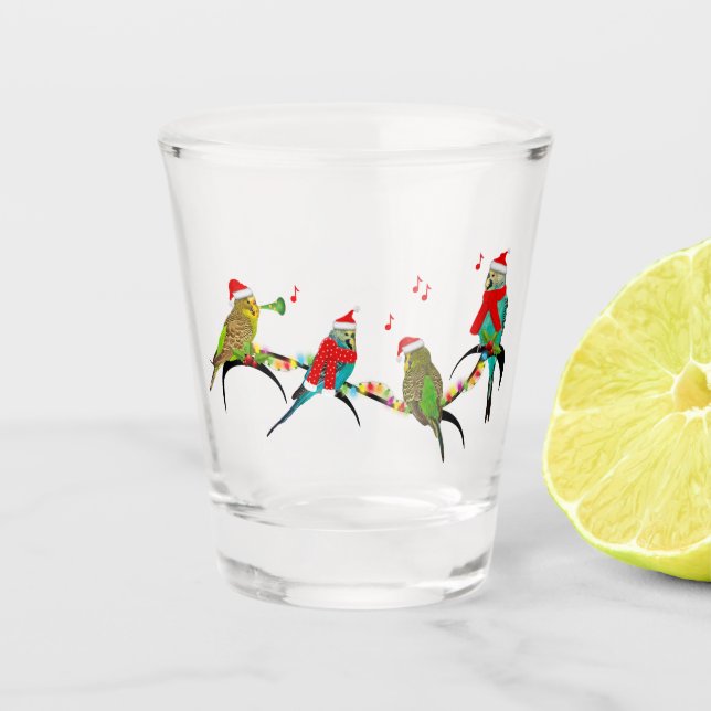 Christmas Budgie Frenzy Gift Glass (Front)