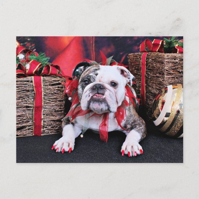 Christmas - Bulldog - Delilah Holiday Postcard (Front)