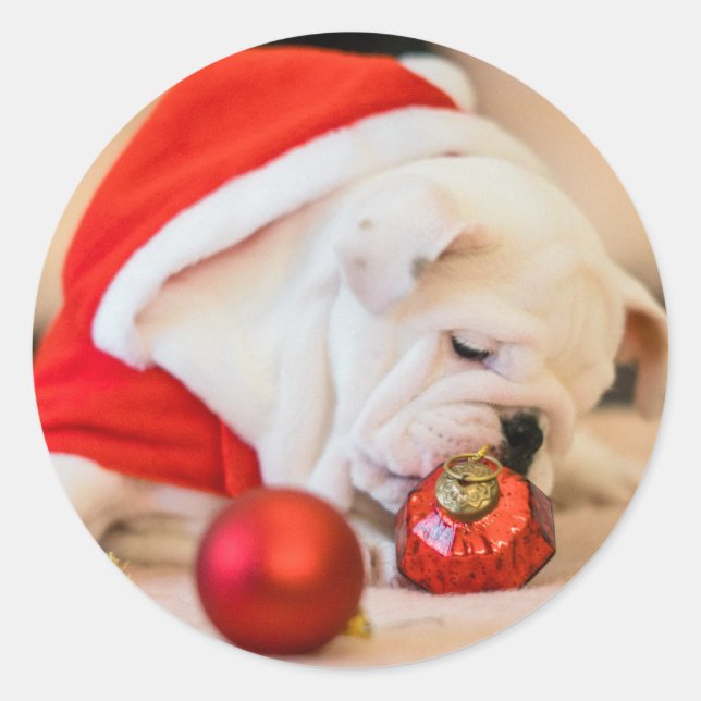 CHRISTMAS BULLDOG STICKERS (Front)