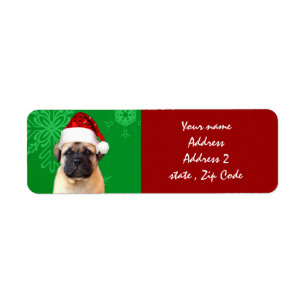 Christmas bullmastiff puppy
