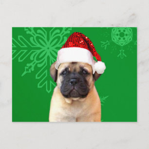 Christmas Bullmastiff puppy Holiday Postcard