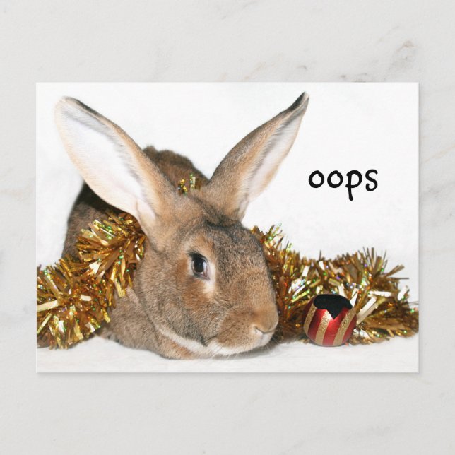 Christmas bunny boo boo holiday postcard (Front)