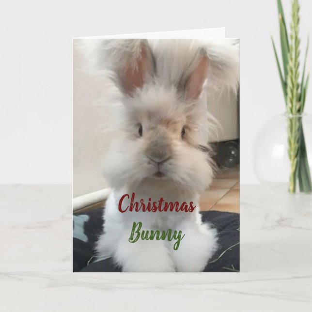 **CHRISTMAS BUNNY FOR MY HONEY" HOLIDAY CARD (Front)