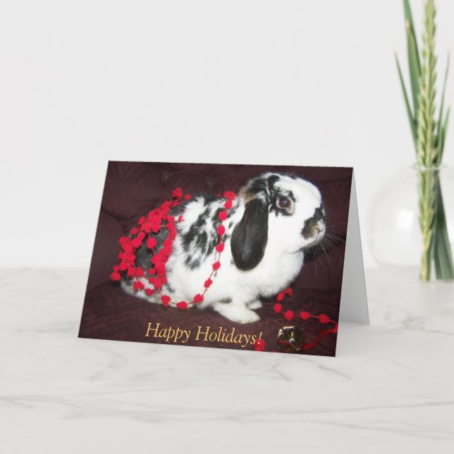 Christmas Bunny, Happy Holidays! Holiday Card (Front)