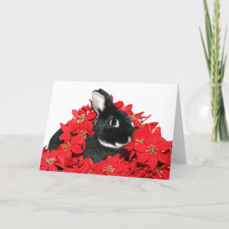 Christmas bunny holiday card