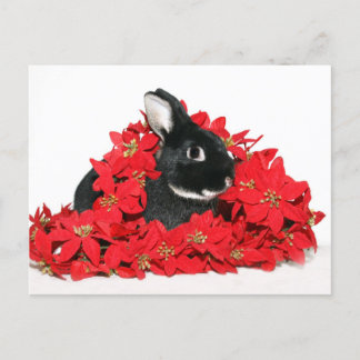 Christmas bunny holiday postcard