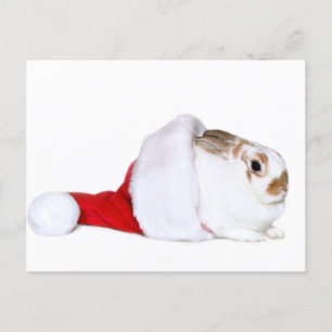 Christmas bunny holiday postcard